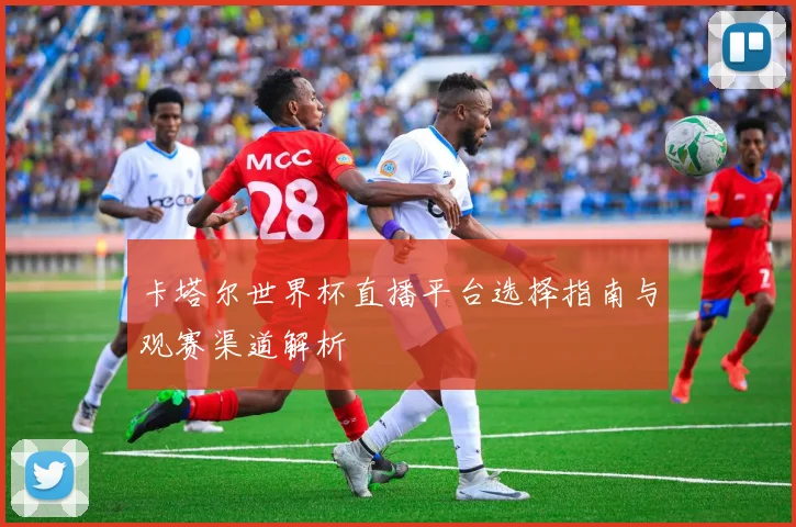 卡塔尔世界杯直播平台选择指南与观赛渠道解析